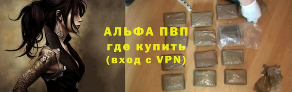 apvp Кизел