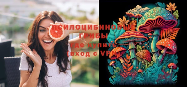 apvp Кизел