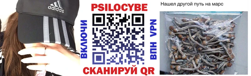 как найти закладки  OMG tor  Галлюциногенные грибы мицелий  Медногорск 